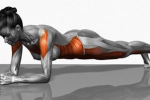 exercises to transform body