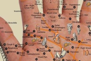 Relieve Pain In Any Part Of Your Body By Pressing These Acupressure Points On Your Hand