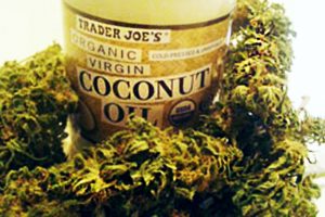 Combat Pain, Nausea, And Seizures With This Cannabis Coconut Oil Recipe