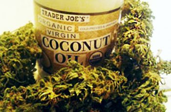 Combat Pain, Nausea, And Seizures With This Cannabis Coconut Oil Recipe