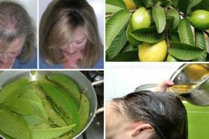 Lower Cholesterol, Stop Hair Loss, Expedite Weight Loss, And More With These Common Fruit Leaves