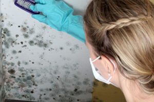 Eliminate Mold Forever By Spraying This Oil