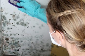 Eliminate Mold Forever By Spraying This Oil