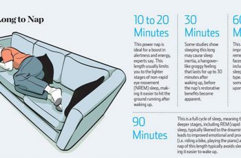 Napping Can Dramatically Increase Learning, Memory, Awareness, And More