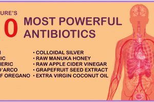10 Most Effective Natural Antibiotics Known To Man