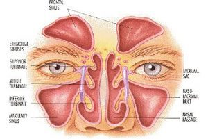 Clear Sinuses Quickly And Easily Using Only Your Fingers