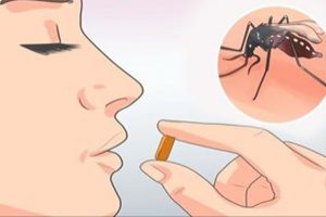 vitamin mosquito repellent