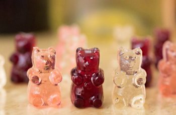 Delicious And Simple Wine Gummy Bear Recipe