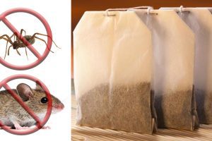 tea spider and mice repellent