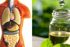 Remove All Toxins From The Body In Just 72 Hours