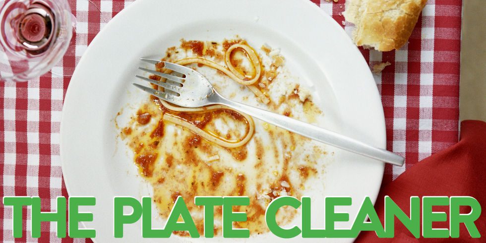 the plate cleaner