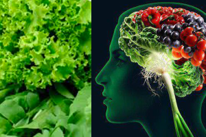 A Diet Rich In Leafy Greens Tied To Sharper Memory, Slower Decline