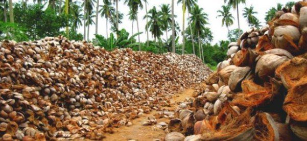 coconut waste wood alternative