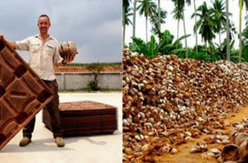 The Use Of Coconut Husk Is The Key To Save Million Of Trees