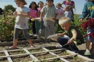 Should Growing Food Be Taught In School?