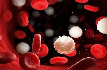 Scientists Found Drug That Can Fight Leukaemia Without Causing Toxic Side Effects