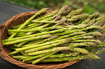 Prebiotic Foods Such As Asparagus Can Slow Cancer Growth, Study Suggests