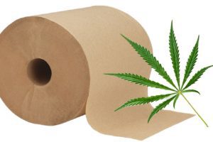 Hemp Toilet Paper Could Be The Solution To Our Environmental Problems