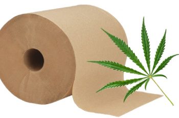Hemp Toilet Paper Could Be The Solution To Our Environmental Problems