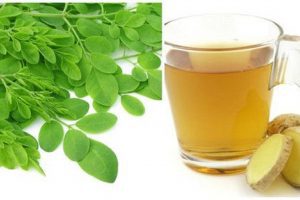 The Miraculous Combination of Ginger And Moringa
