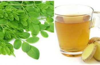 The Miraculous Combination of Ginger And Moringa