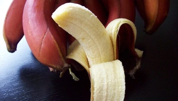 red bananas