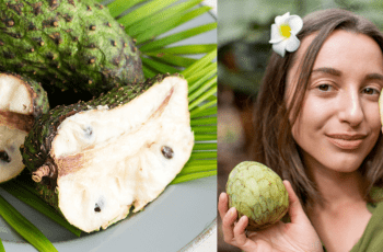 What Everyone Should Know About The Guanabana Fruit!