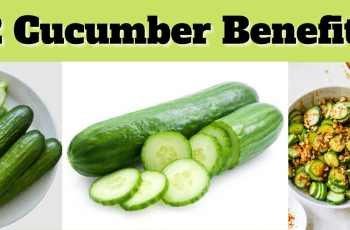 12 Cucumber Benefits You Should Know