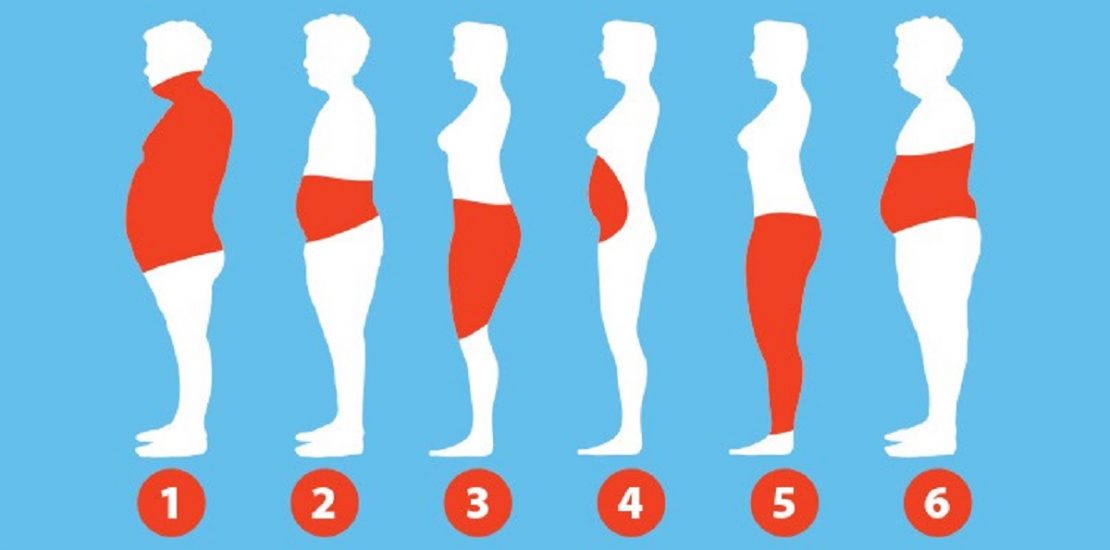 types of body fat