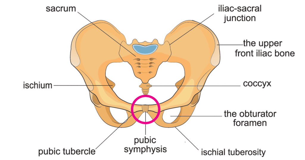 pelvic girdle pain relief