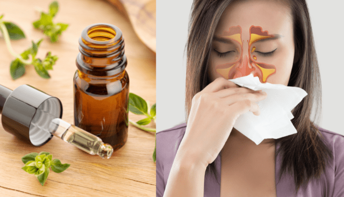 Oregano oil for sinus