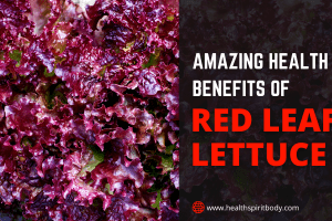 Amazing Health Benefits of Red Leaf Lettuce 2022