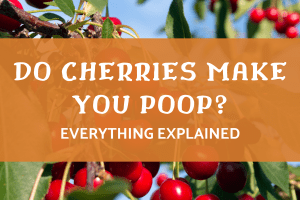 Do cherries make you poop