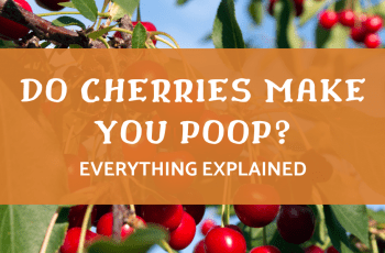 Do cherries make you poop