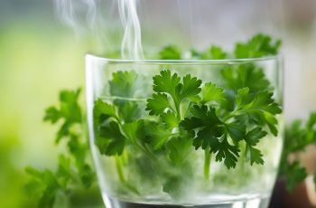 Cleanse Your Kidneys Instantly with Parsley Tea: Discover 8 Benefits