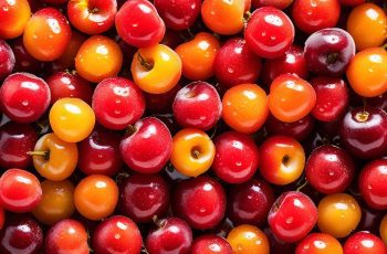 Discover 3 Health Benefits of Rainier Cherries
